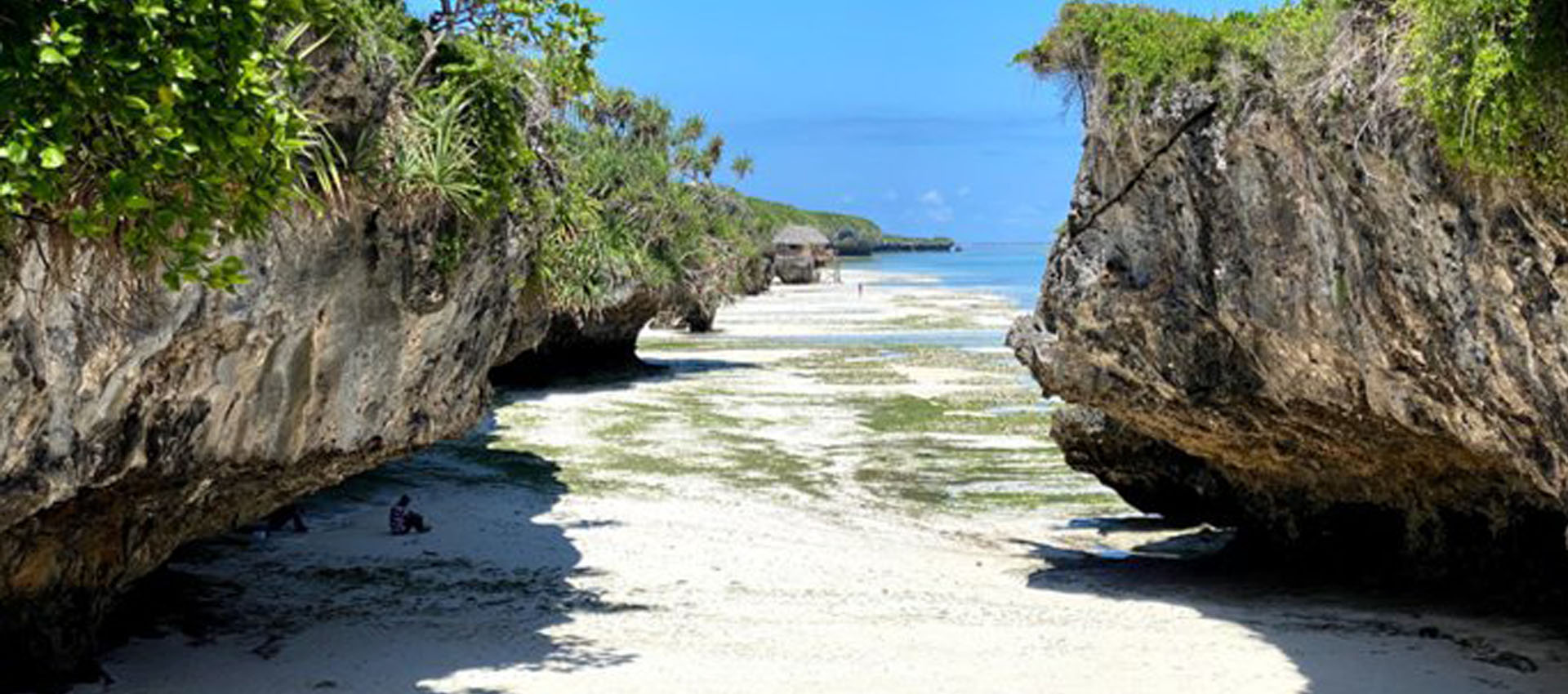 Zanzibar Beach